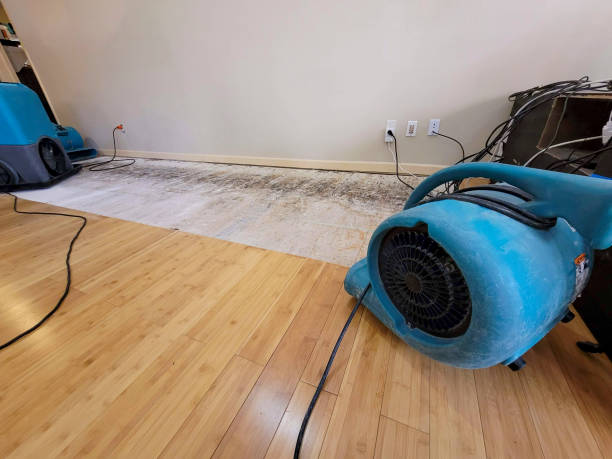 Professional Basement Flood Cleanup technician working in Lacey, WA